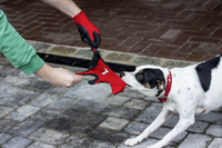 Arbeitshandschuh Stretch Ansicht 2